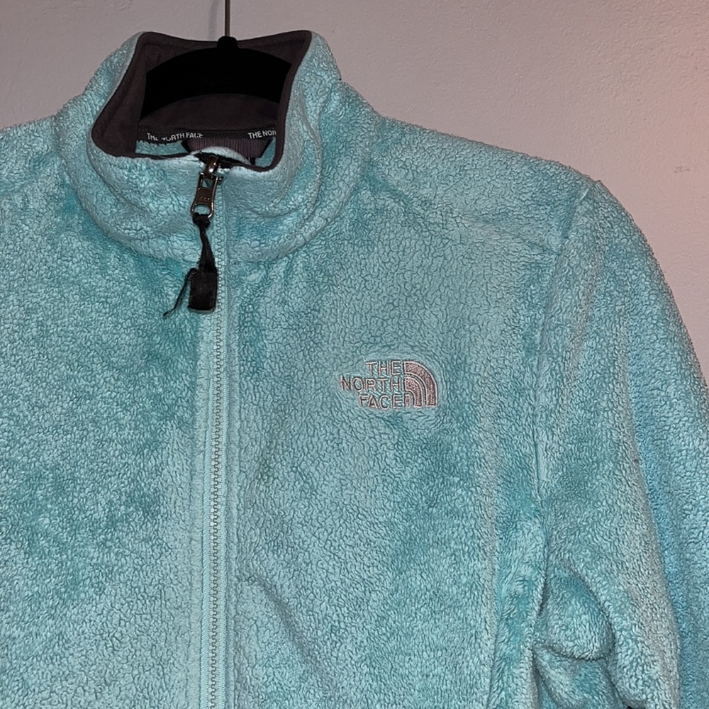 Northface Turquoise Osito Jacket.